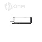 ОПМ 101084 Винт с плоской головкой и шлицем Torx